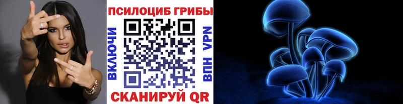 купить  сайты  Мариинский Посад  Псилоцибиновые грибы Cubensis 